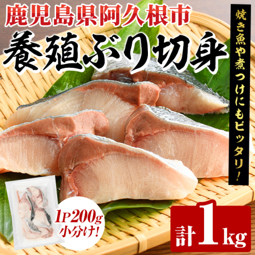 養殖ぶり切身(約1kg) 鹿児島県 阿久根市 ブリ ぶり 鰤 魚貝 魚介 海産物 切身 切り身 煮物 煮つけ 焼き魚 おかず おつまみ 小分け 【さるがく水産】akn028-44 2261403 - 鹿児島県阿久根市