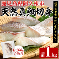 天然真鯛切身(約1kg) 鹿児島県 阿久根市 たい タイ 真鯛 魚貝 魚介 海産物 切身 切り身 煮物 煮つけ 焼き魚 おかず おつまみ 小分け 【さるがく水産】akn028-46
