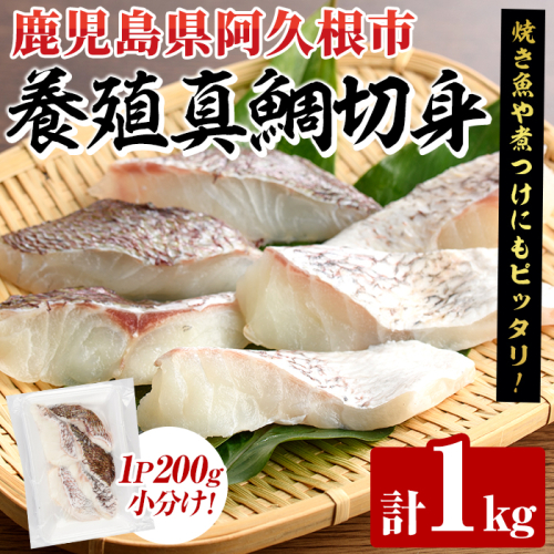 養殖真鯛切身(約1kg) 鹿児島県 阿久根市 たい タイ 真鯛 魚貝 魚介 海産物 切身 切り身 煮物 煮つけ 焼き魚 おかず おつまみ 小分け 【さるがく水産】akn028-46 2261514 - 鹿児島県阿久根市
