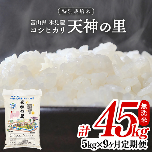 〈9ヶ月定期便〉 令和8年産 富山県産 特別栽培米コシヒカリ 天神の里５kg 無洗米 2261515 - 富山県氷見市