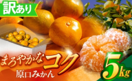 訳あり 原口みかん 5kg[おおたに農園] [OBP002] / 訳ありみかん 5kg はらぐち 傷もの わけあり ミカン みかん 美味しい 訳ありみかん5kg