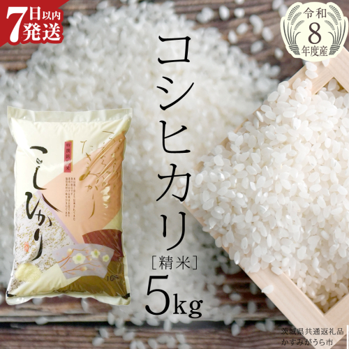 【新米】 令和8年産 コシヒカリ 精米 5kg ( 5kg × 1袋 ) (茨城県共通返礼品) こしひかり スピード発送 早い 米 ごはん もっちり 甘い コメ お米 白米 銘柄米 茨城県 桜川市[EX010sa] 2261613 - 茨城県桜川市