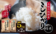 [ 上総の純粋米 ] 厳選 精米 令和7年産 千葉県産 コシヒカリ | 泉屋 コメ こめ お米 白米 ふっくら もちもち こしひかり おにぎり お弁当 イチオシ 千葉県 君津市 きみつ