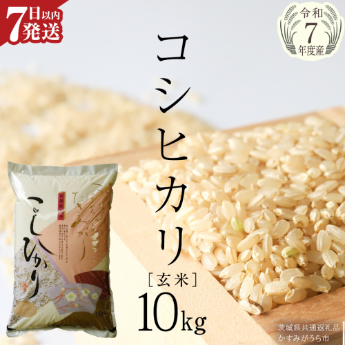 ≪ 令和7年度 新米 ≫ コシヒカリ 玄米10kg（10kg×1袋）（茨城県共通返礼品 かすみがうら市産） 新米 米 ごはん もっちり 甘い コメ お米 白米 銘柄米 [EX012sa] 2261666 - 茨城県桜川市