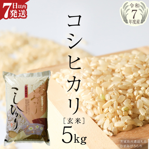 ≪ 令和7年度 新米 ≫ コシヒカリ 玄米5kg（5kg×1袋）（茨城県共通返礼品 かすみがうら市産） 新米 米 ごはん もっちり 甘い コメ お米 白米 銘柄米 [EX011sa] 2261667 - 茨城県桜川市