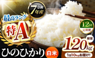 【 定期便 12回 】熊本県産 ひのひかり 白米 10kg | お米 米 こめ おこめ 精米 白米 ヒノヒカリ 10キロ ご飯 国産 国産米 定期 くまもと 熊本 熊本県 玉名市 玉名
