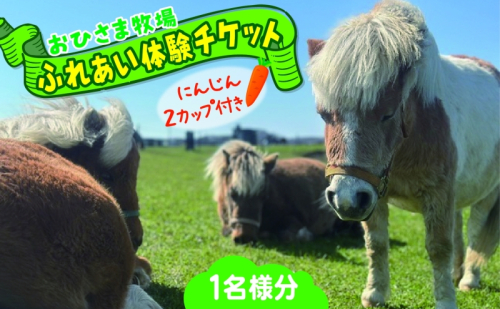 おひさま牧場 ふれあい体験チケット 1名分 にんじん2カップ付き ふれあい チケット ふれあい体験 体験 ミニチュアホース ホース 馬 ふれあい牧場 牧場 体験券 券 ふれあいチケット 動物 北海道 日高町 2261942 - 北海道日高町