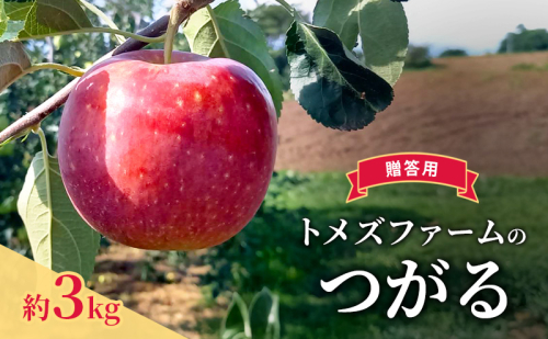 つがる（贈答用） 約3kg（8玉〜12玉入り）トメズファーム　りんご　長野　信州　小諸　果物　フルーツ 2262171 - 長野県小諸市