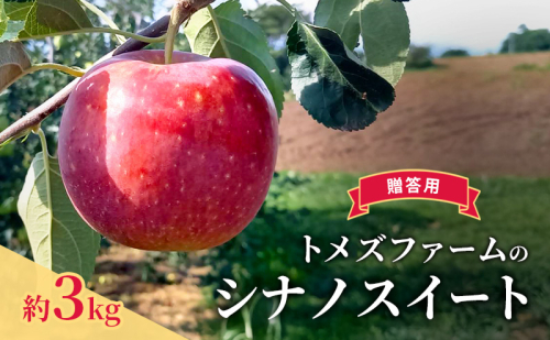シナノスイート(贈答用) 約3kg(8玉〜12玉入り)トメズファーム りんご 長野 信州 小諸 果物 フルーツ 2262173 - 長野県小諸市