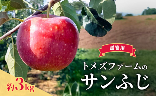 サンふじ(贈答用) 約3kg(8玉〜12玉入り)トメズファーム りんご 長野 信州 小諸 果物 フルーツ 2262175 - 長野県小諸市