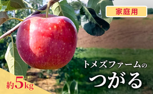つがる(家庭用) 約5kg(15~20玉入り)トメズファーム りんご 長野 信州 小諸 果物 フルーツ 2262176 - 長野県小諸市