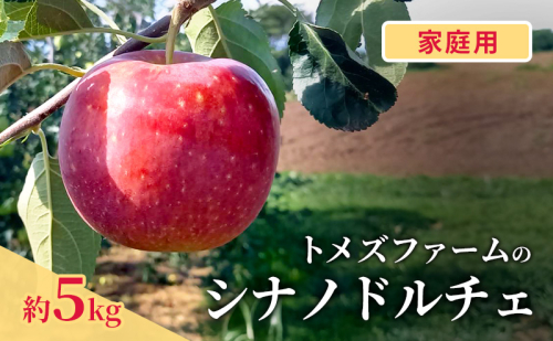 シナノドルチェ(家庭用) 約5kg(15~20玉入り)トメズファーム りんご 長野 信州 小諸 果物 フルーツ 2262177 - 長野県小諸市