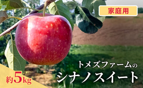 シナノスイート(家庭用) 約5kg(15~20玉入り)トメズファーム りんご 長野 信州 小諸 果物 フルーツ 2262178 - 長野県小諸市