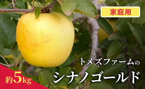 シナノゴールド(家庭用) 約5kg(15~20玉入り)トメズファーム りんご 長野 信州 小諸 果物 フルーツ 2262179 - 長野県小諸市