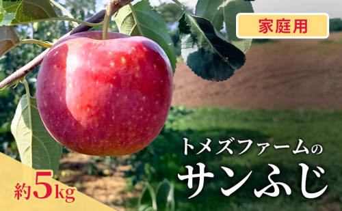 サンふじ(家庭用) 約5kg(15~20玉入り)トメズファーム りんご 長野 信州 小諸 果物 フルーツ 2262180 - 長野県小諸市