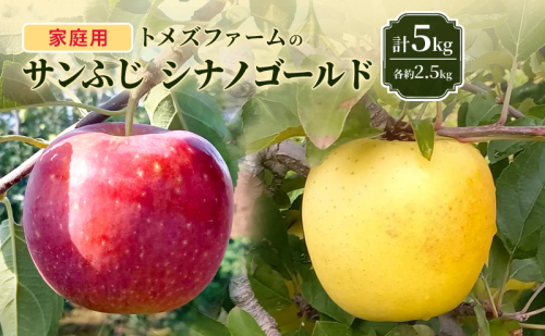 サンふじ・シナノゴールド詰合せ（家庭用） 各約2.5kg 計5kg　トメズファーム　りんご　長野　信州　小諸　果物　フルーツ　食べ比べ 2262187 - 長野県小諸市
