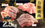 国産 豚肉 焼肉 3種盛 2.5kgセット|バラ900g (300g×3P) ウデ600g (200g×3P) ロース1kg (200g×5P) 力豚 小分け ブランド豚 焼き肉 BBQ 真空 冷凍 ポーク お取り寄せ 配達日指定可 おすすめ 人気 高知県