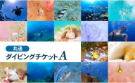 大月町共通ダイビングチケットA