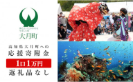 高知県大月町への応援寄付金1万円　【返礼品なし】