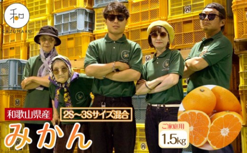家庭用 森本農園の手選別 小粒みかん 約1.5kg 和歌山県産 2S・3Sサイズ混合 ［北海道・沖縄・離島配送不可］［2025年11月上旬から順次発送］［RN59］ 2262840 - 和歌山県那智勝浦町