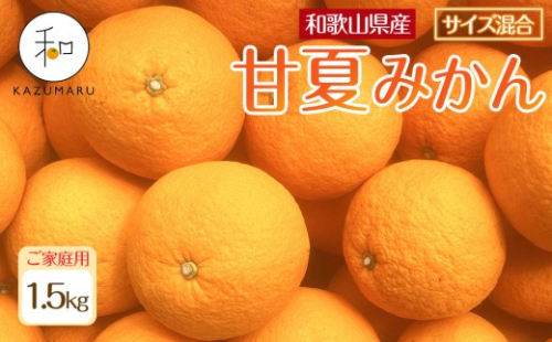 家庭用 森本農園の手選別 甘夏みかん 約1.5kg 和歌山県産 サイズ混合 ［北海道・沖縄・離島配送不可］［2026年4月上旬から順次発送］［RN68］ 2262849 - 和歌山県那智勝浦町