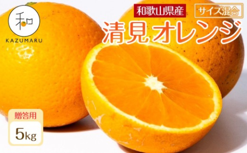 贈答用 森本農園の手選別 厳選清見オレンジ 約5kg 和歌山県産 サイズ混合 ［北海道・沖縄・離島配送不可］［2026年2月上旬から5月中旬頃順次発送予定］［RN89］ 2262870 - 和歌山県那智勝浦町