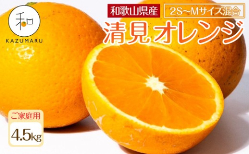 家庭用 森本農園の手選別 小粒清見オレンジ 約4.5kg 和歌山県産 2S～Mサイズ混合 ［北海道・沖縄・離島配送不可］［2026年2月上旬から順次発送予定］［RN92］ 2262873 - 和歌山県那智勝浦町