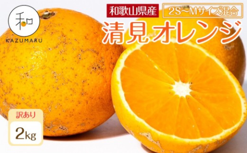 訳あり 森本農園の手選別 小粒清見オレンジ 約2kg 和歌山県産 2S～Mサイズ混合 ［北海道・沖縄・離島配送不可］［2027年2月上旬から順次発送予定］［RN96］ 2262877 - 和歌山県那智勝浦町