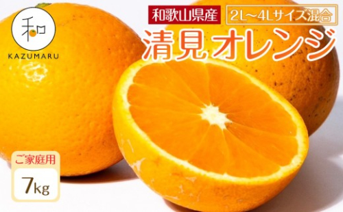 家庭用 森本農園の手選別 大玉清見オレンジ 約7kg 和歌山県産 2L～4Lサイズ混合 ［北海道・沖縄・離島配送不可］［2027年2月上旬から順次発送予定］［RN101］ 2262882 - 和歌山県那智勝浦町