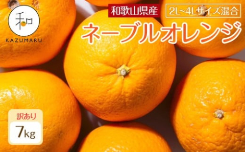 訳あり 森本農園の手選別 大玉ネーブルオレンジ 約7kg 和歌山県産 2L～4Lサイズ混合 ［北海道・沖縄・離島配送不可］［2027年1月上旬から順次発送］［RN108］ 2262889 - 和歌山県那智勝浦町