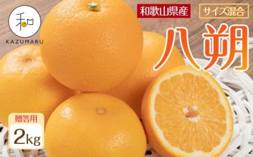 贈答用 森本農園の手選別 八朔 約2kg 和歌山県産 サイズ混合 ［北海道・沖縄・離島配送不可］［2026年1月中旬から発送予定］［RN122］★ 2262903 - 和歌山県那智勝浦町