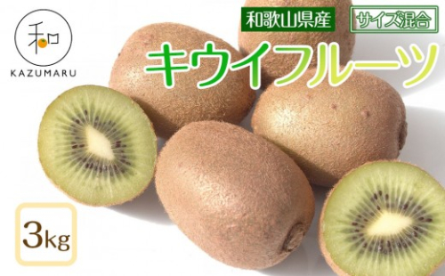 森本農園の キウイフルーツ 約3kg 和歌山県産 サイズ混合 ［北海道・沖縄・離島配送不可］［2026年2月上旬から順次発送予定］［RN126］ 2262907 - 和歌山県那智勝浦町