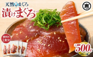 手軽にタンパク質！まぐろ漬け丼のもと 100g×5袋（解凍するだけ、ご飯にのせるだけ）【2025年10月お届け】　M020-015-10