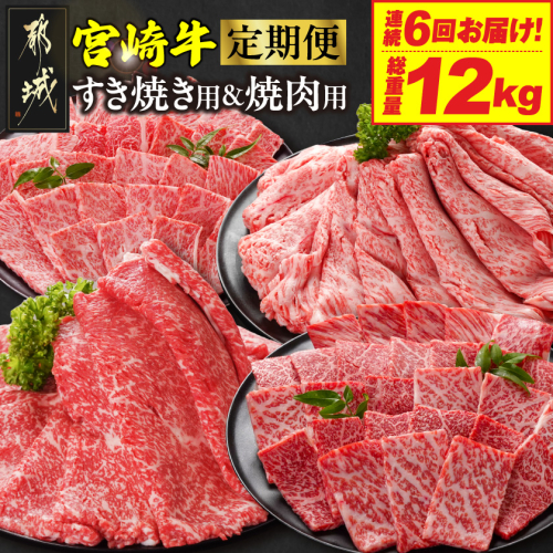 ≪6回連続お届け≫宮崎牛赤身霜降り食べ比べ定期便L(総重量12kg)_T192-6-N201 2263059 - 宮崎県都城市
