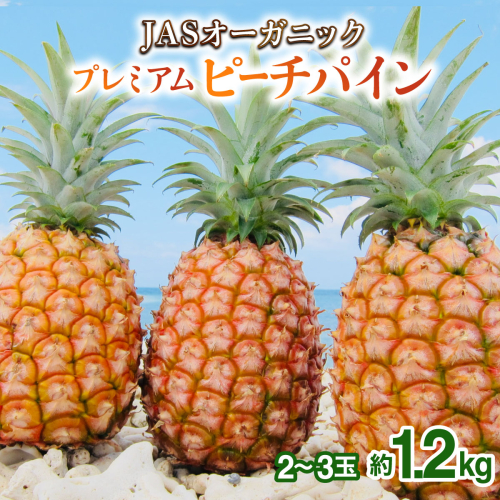 【JASオーガニック】プレミアムピーチパイン 約1.2kg 2～3玉 023-a026 2263062 - 沖縄県竹富町