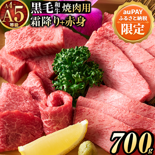 【auPayふるさと納税限定】品黒毛和牛 A4～A5等級 霜降り カルビ 赤身 焼肉 A4 A5 700g 数量限定 先行予約 牛肉 冷凍 くまもと黒毛和牛 冷凍庫 個別 取分け 小分け 個包装 ブランド牛 《7-14日以内に出荷予定(土日祝除く)》 熊本県 南阿蘇 ギフト 贈答 人気 2263063 - 熊本県南阿蘇村