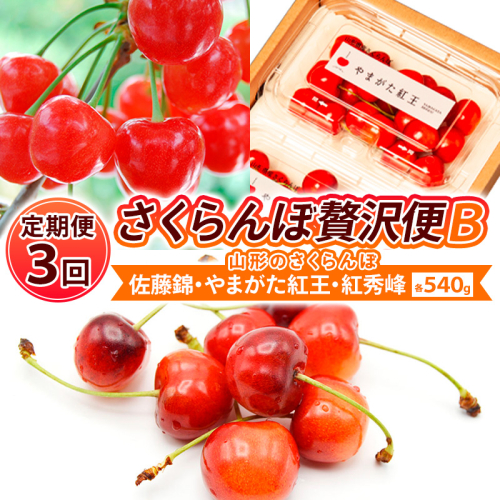 【定期便3回】【さくらんぼ贅沢便B】山形のさくらんぼ 佐藤錦・やまがた紅王・紅秀峰 各540g×3回 【令和8年産先行予約】FS25-001 2263375 - 山形県山形市