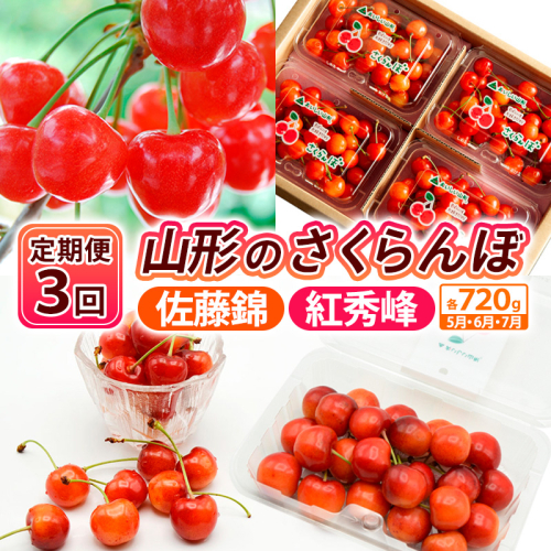 【定期便3回】【さくらんぼ定期便3回】山形のさくらんぼ 佐藤錦・紅秀峰 各720g×3回[5月・6月・7月] 【令和8年産先行予約】FS25-003 2263378 - 山形県山形市