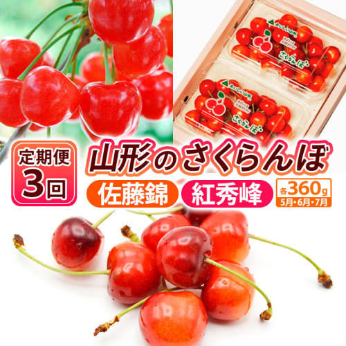 【定期便3回】山形のさくらんぼ 佐藤錦・紅秀峰 各360g×3回[5月・6月・7月] 【令和8年産先行予約】FS25-007 2263532 - 山形県山形市