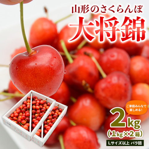 【ご家庭みんなで楽しめる！2kg】山形のさくらんぼ 大将錦 2kg Lサイズ以上 バラ詰(1kg×2箱) 【令和9年産先行予約】FS26-650 2263533 - 山形県山形市