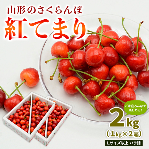 【ご家庭みんなで楽しめる！2kg】山形のさくらんぼ 紅てまり 2kg Lサイズ以上 バラ詰 (1kg×2箱) 【令和8年産先行予約】FS25-009 2263534 - 山形県山形市