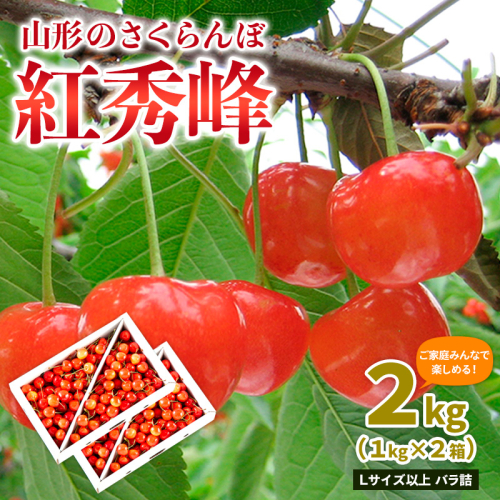【ご家庭みんなで楽しめる！2kg】山形のさくらんぼ 紅秀峰 2kg Lサイズ以上 バラ詰 (1kg×2箱) 【令和8年産先行予約】FS25-010 2263535 - 山形県山形市