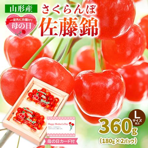 一足先にお届け！【母の日】さくらんぼ佐藤錦360gLサイズ以上(180g×2パック) 【令和9年産先行予約】FS26-646 2263589 - 山形県山形市
