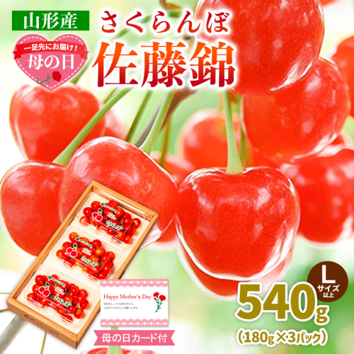 一足先にお届け！【母の日】さくらんぼ佐藤錦540gLサイズ以上(180g×3パック) 【令和9年産先行予約】FS26-645 2263590 - 山形県山形市