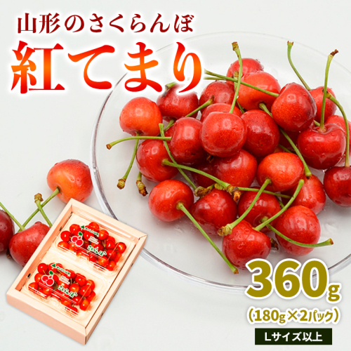 山形のさくらんぼ 紅てまり 360g Lサイズ以上 (180g×2パック) 【令和8年産先行予約】FS25-016 2263595 - 山形県山形市