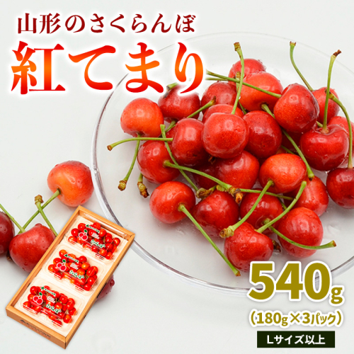 山形のさくらんぼ 紅てまり 540g Lサイズ以上 (180g×3パック) 【令和8年産先行予約】FS25-018 2263598 - 山形県山形市