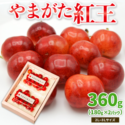 やまがた紅王 約360g 2～3Lサイズ (180g×2パック) 【令和8年産先行予約】FS25-019 2263599 - 山形県山形市