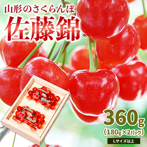 山形のさくらんぼ 佐藤錦 360g Lサイズ以上 (180g×2パック) 【令和8年産先行予約】FS25-023 2263808 - 山形県山形市
