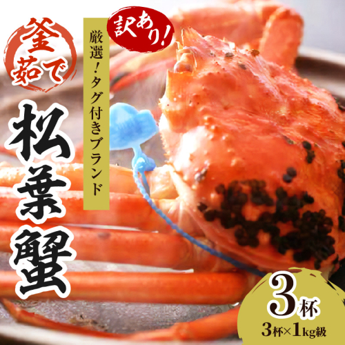 【訳あり！！タグ付きブランド】茹で松葉かに 鮮度抜群、釜茹でにてお届け！！ 1kg級（足1本落ち）×3杯　ふるさと納税 かに 京都 京丹後 海鮮 まつば蟹 まつばがに 松葉ガニ 海祥
 2263809 - 京都府京丹後市