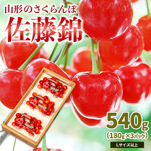 山形のさくらんぼ 佐藤錦 540g Lサイズ以上 (180g×3パック) 【令和8年産先行予約】FS25-024 2263810 - 山形県山形市